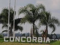 Concordia